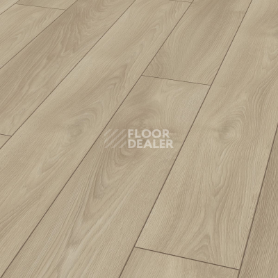 Ламинат Kronotex Mammut Plus d4752 Дуб Светлый Марко фото 6 | FLOORDEALER